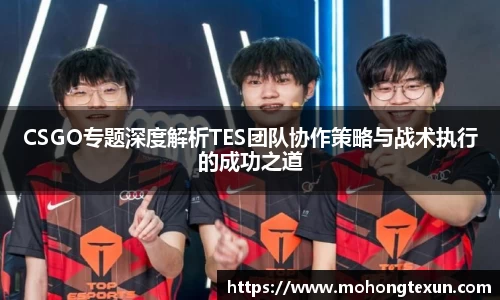 CSGO专题深度解析TES团队协作策略与战术执行的成功之道